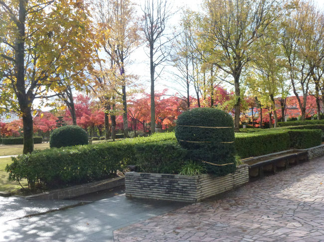 越前丸岡城　庭園の紅葉