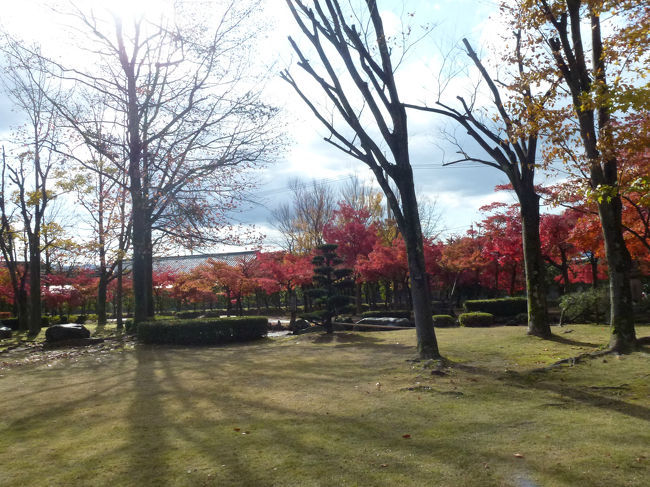 越前丸岡城　庭園の紅葉