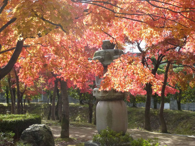 越前丸岡城　庭園の紅葉