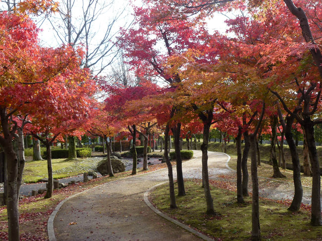 越前丸岡城　庭園の紅葉