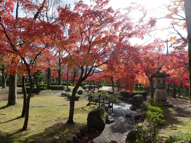 越前丸岡城　庭園の紅葉