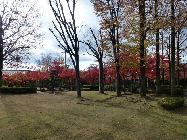 越前丸岡城　庭園の紅葉