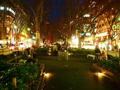 点灯式は１７：１０から、定禅寺通りのメディアテーク前で行われるということなので、１７時少し前に、メディアテークへ向かいます。

ケヤキ並木は、いつもと変わらず、暗いまま。