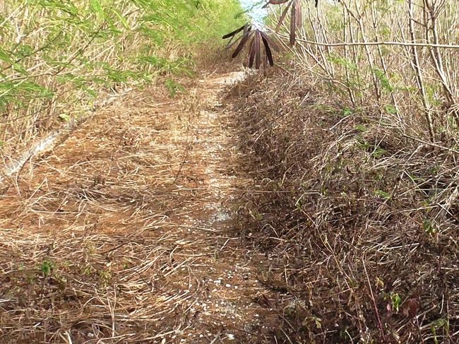 澎湖島要塞、大山堡塁砲台探検記』澎湖 (澎湖諸島)(台湾)の旅行 澎湖島要塞、大山堡塁砲台探検記』澎湖 (澎湖諸島)(台湾)の旅行
