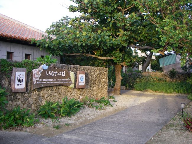 オマケ（散歩、出発当日朝）：白保の集落は自転車で走るより、散歩が快適。<br /><br />しらほサンゴ村　（開館前）