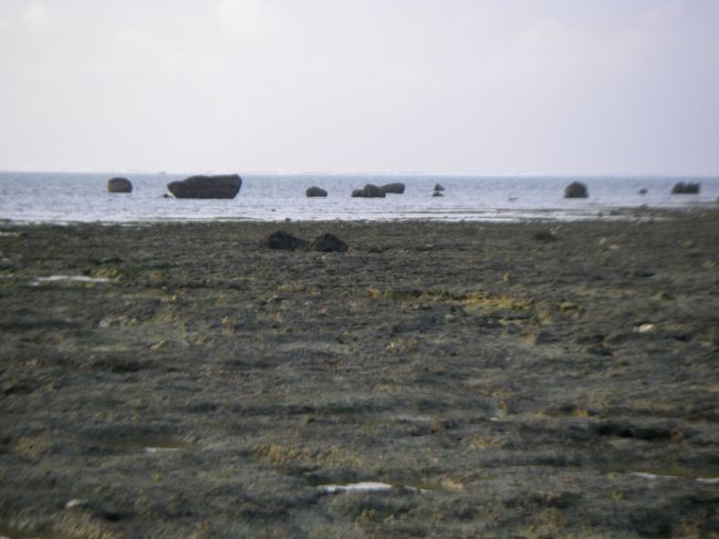 オマケ（散歩、出発当日朝）<br /><br />引き潮の白保海岸　