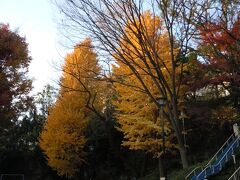 すべり台にブランコ。