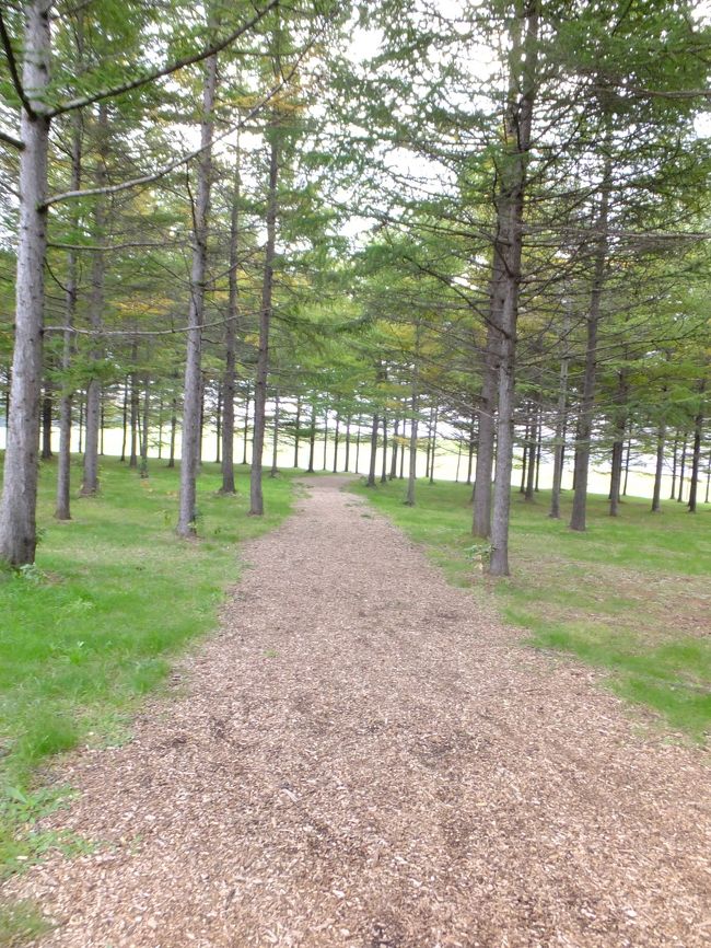 再び公園をテクテクテクテク。ひたすら歩く。<br />気持ちいいけど、広すぎ(笑)