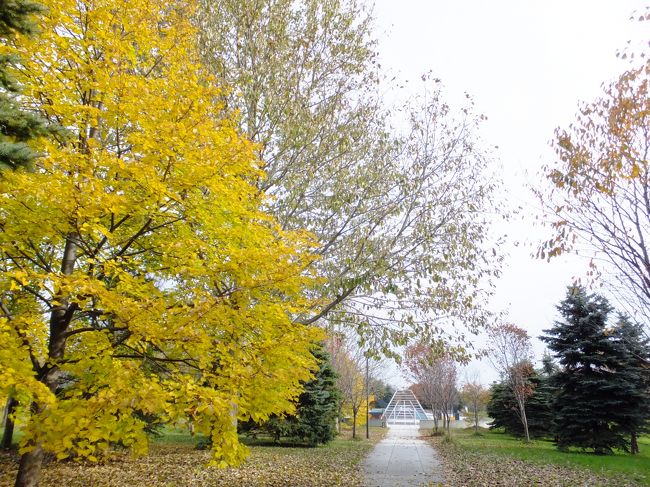 ピラミッドを出て、散策再開です。<br />気になるエリアがあったので行ってみる。