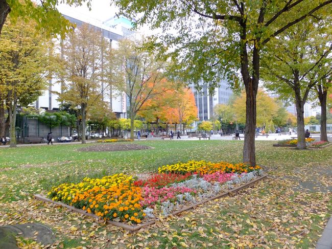 あっこれはもしかして…