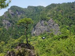 鳳来寺山へ上ります。鳳来寺の本堂へは、元有料道路 鳳来寺山パークウェイで行きました。