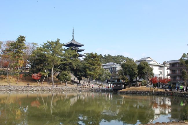 集合場所は、猿沢池の南側。ってどこだろう？<br />これはもしかして管理人の王子さんからのミッション？<br />きっと何かあるに違いない！と思いながら・・・とりあえず池の周りを一周することに。