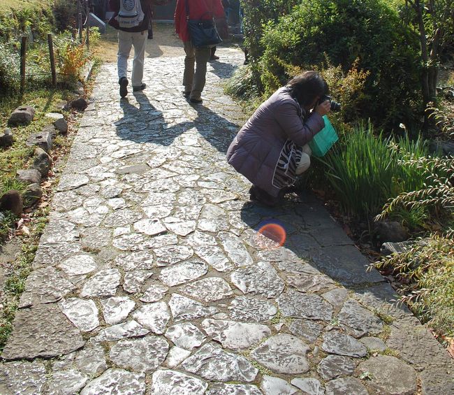 花を撮影するkuritchiさん。<br /><br />スペインでは１日500〜600枚、トータル6000枚近く撮ったそうです。<br />びっくり！です。我が家のＰＣでは100枚取り込むのに必死（笑）なので想像ができない世界です。<br />「３人だからできたスペイン旅」またゆっくりとお邪魔します。<br />