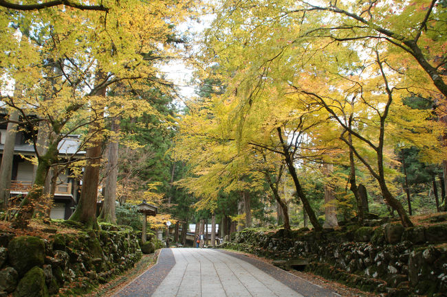 永平寺の参道の黄葉