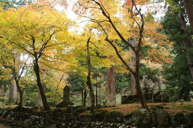 永平寺の参道の黄葉