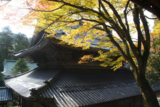 仏殿と黄葉