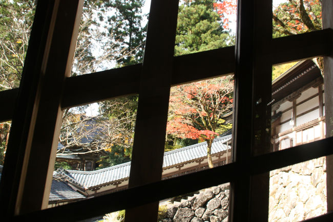 廊下から見た景色