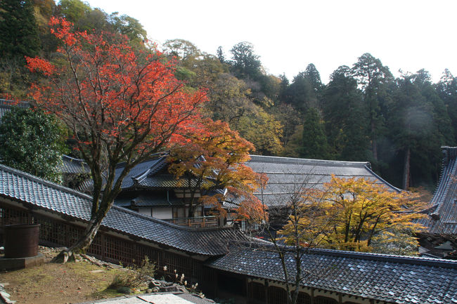 大庫院と紅葉