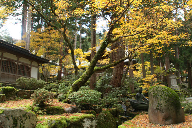 一葉観音と黄葉