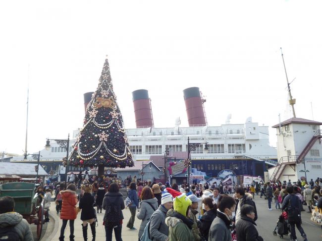 タワーオブテラーのＦＰ入手後<br /><br />ウォーターフロントのツリーを鑑賞。