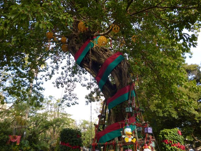 ロストリバーデルタのツリー。