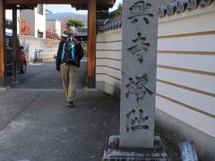
「元興寺（がんごうじ）塔跡」

元興寺（がんごうじ）は、奈良市にある、南都七大寺の1つに数えられる寺院。蘇我馬子が飛鳥に建立した、日本最古の本格的仏教寺院である法興寺がその前身である。
法興寺は平城京遷都に伴って飛鳥から新都へ移転し、元興寺となった（ただし、飛鳥の法興寺も元の場所に残り、今日の飛鳥寺となっている）。
奈良時代には近隣の東大寺、興福寺と並ぶ大寺院であったが、中世以降次第に衰退して、現在は元興寺と名乗る寺院は2つに分かれている（Wikipediaより）
