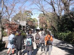この後、「ボロ市通り」を歩き、「松陰神社」に向かいました。

松陰神社は幕末に活躍した吉田松陰をまつる神社です。写真はその参道です。