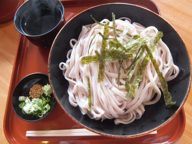 名物！赤米うどんだったかな？<br />つけ麺しかなくて、つけ汁は温かくしてもらったけどすぐに冷たく…<br />熱いうどん食べたかった(^-^;