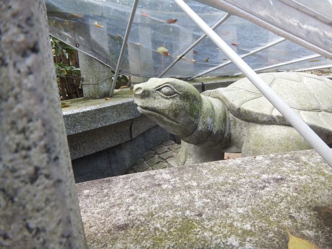 シートがかけられてたのはなぜだろう？除いたら亀の像!(^^)!