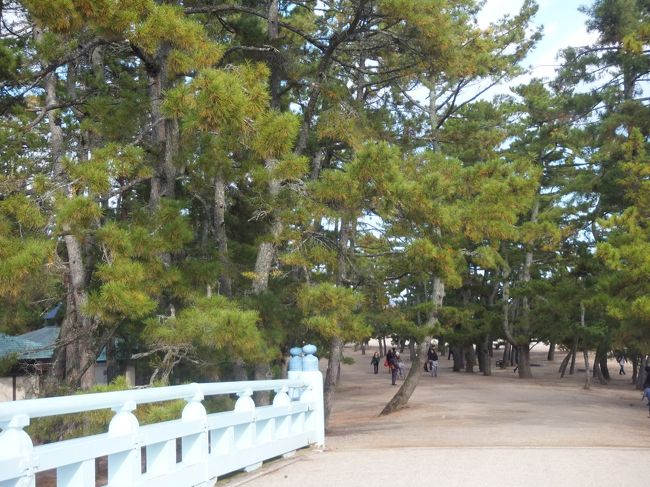 このちょっと写ってる水色の橋は時間によって回転するらしい！