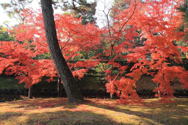 京都の御所と離宮 17 秋の桂離宮 紅葉と建物の美しき調和 嵐山 嵯峨野 太秦 桂 京都 の旅行記 ブログ By ぺこにゃんさん フォートラベル