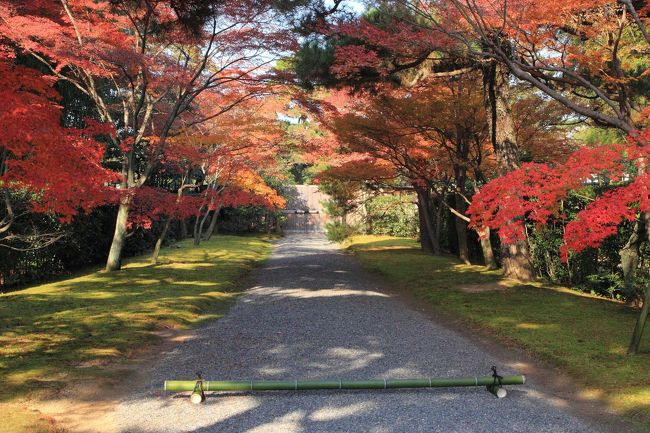 京都の御所と離宮 17 秋の桂離宮 紅葉と建物の美しき調和 嵐山 嵯峨野 太秦 桂 京都 の旅行記 ブログ By ぺこにゃんさん フォートラベル