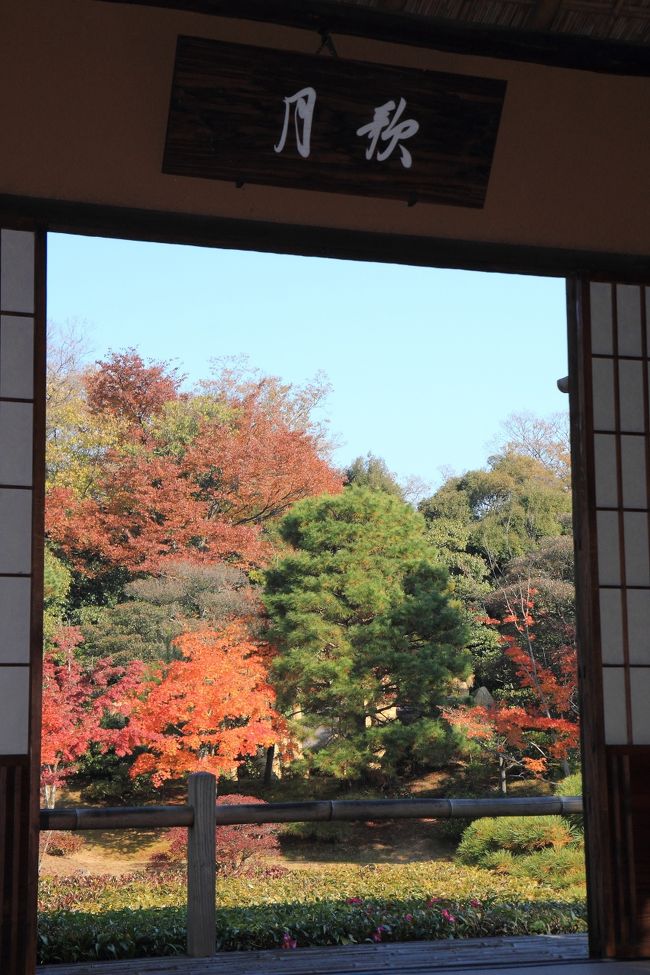 京都の御所と離宮(17) 秋の桂離宮 ～紅葉と建物の美しき調和