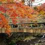 ＊静岡＊特別な日に贈る伊豆の蓮台寺温泉の高級旅館～清流荘＊北斗館貴賓室～