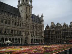 ブリュッセルの中央広場、グラン・プラスにやってきました。ラッキーなことに、フラワーカーペットをやってました。

フラワーカーペットとは2年に一度、グラン・プラス全体に色とりどりのベゴニアの花びらを並べ、巨大な花の絨毯が敷き詰められるイベントです。絨毯のデザインは毎回変わります。

2014年は8月15～17日の開催です。
http://www.flowercarpet.be/