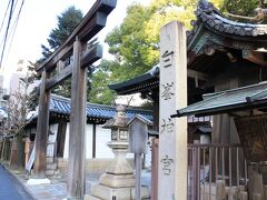 西大寺で車を返し、宿泊地の京都へ向かうのですが、電車に乗り間違えてしまい大阪へ逆行してしまいました。

これ以上立って電車に揺られるのも勘弁してほしいので、正しい電車は特急を利用。

１時間以上のロスでしたが、京都の宿に到着することが出来ました。

宿の選定が遅れたため、一人旅に向いている素泊まりのシングルはどこも満室である中で、ようやく見つけた国際会館のロッジです。

本当に泊まるだけの施設でレストランなど全くなく、最寄りのコンビニも徒歩１０分近くかかりますが、静かな環境と広々とした部屋は旅の疲れを癒すのに充分でした。

翌日、京都御所近くの自転車屋が開店する時間に合わせて行動を開始し、電動アシスト機能付きの自転車を借りました。

天気は曇りがちで時々冷たいものも落ちて来ますが、本降りになることはなさそうです。

慣れない道で頼りになるスマートフォンの地図機能は、自転車移動する者にとっては危険ですので、目的地までの道のりが分かるようにあらかじめ地図を印刷して持っていました。

まずは白峯神宮へと向かいます。