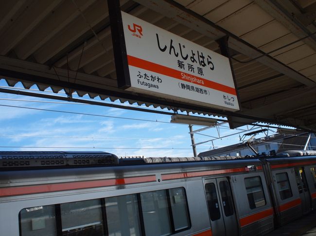 静岡駅は新幹線と在来線の乗り換えが近くてラク。<br />悠々と8：30発の浜松行き（３両！）に間に合いました。<br />これでプラン通りに回復！<br /><br />浜松で大垣行き新快速に乗り換えて、<br />天竜浜名湖鉄道（天浜線）西の起点、新所原に到着。<br />相模大野からは約４時間３０分。
