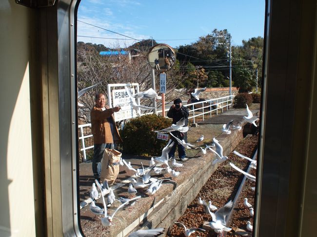 おじさんが餌付けをしています。<br /><br />実は１日２本の列車に設定されたユリカモメの餌付けタイムに遭遇したのでした。<br />ついていました！！<br />（後に天竜二俣駅のポスターで知りました）