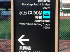 言問橋のお次は桜橋へ
初めて
あまり上流は行かないし
今は桜橋から水上バスは無いよう