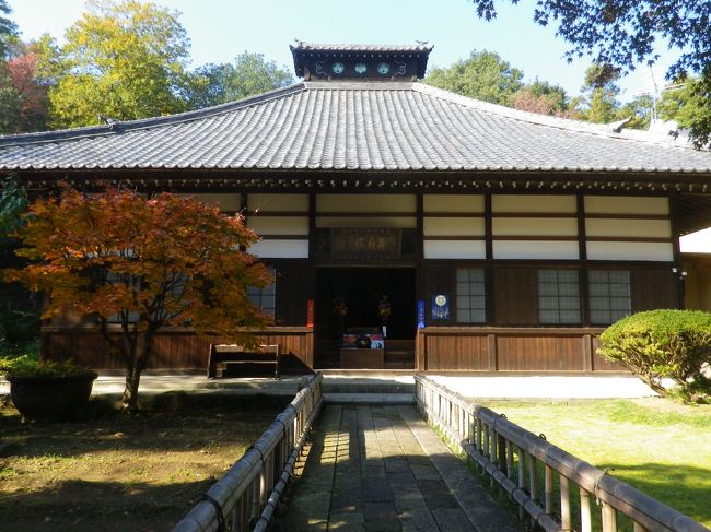 太田・子育て呑龍大光院と金龍寺』太田(群馬県)の旅行記・ブログ