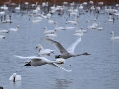 浮上
TAKE OFF.
FLY AWAY.