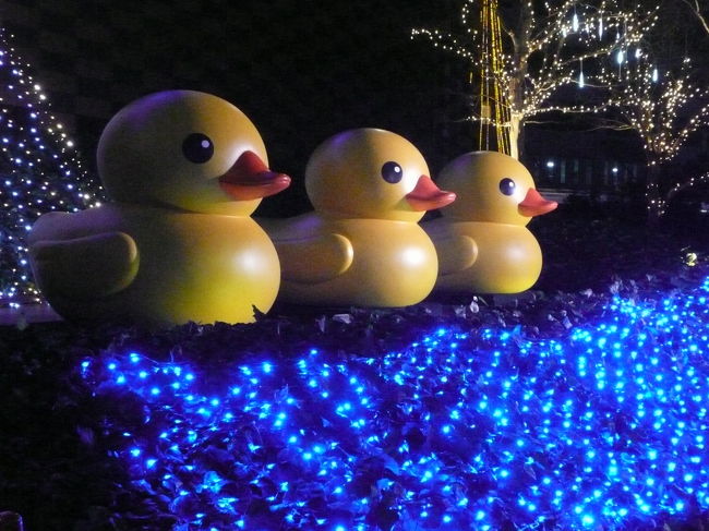 ラバーダックを追いかけて！2013年クリスマス』心斎橋