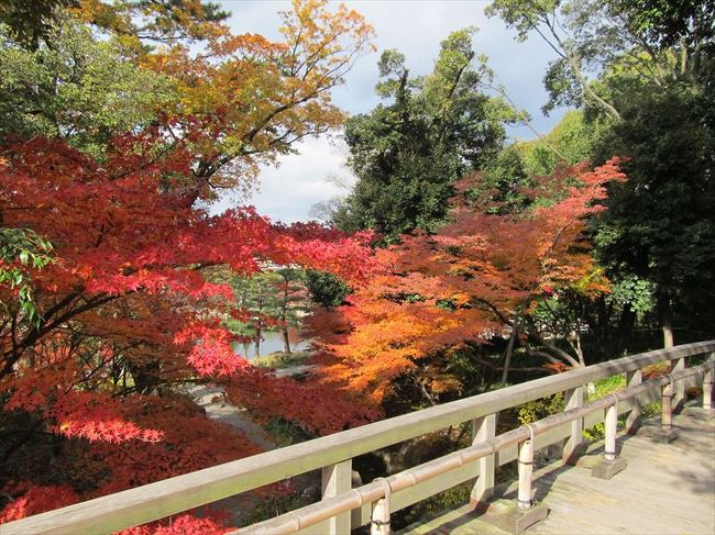 徳川園の紅葉 名古屋 愛知県 の旅行記 ブログ By Yuhondaさん フォートラベル 徳川園の紅葉 名古屋 愛知県 の旅行記 ブログ By Yuhondaさん フォートラベル
