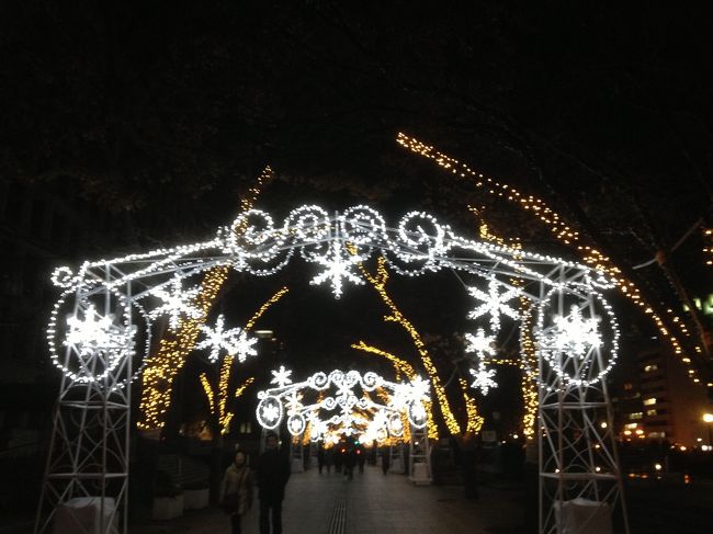 市庁舎の直ぐ隣から<br />光のアーケードが出来ており<br />この道はあの中之島公会堂へ続く…<br />光のルネサンス というイベントです。<br /><br />今朝のNEWSで、公会堂前で<br />昨日ドリカムがショートライブしたと<br />言ってましたね。<br /><br />去年このイベントは堪能したので<br />今回は反対方向へ移動しました。<br /><br />