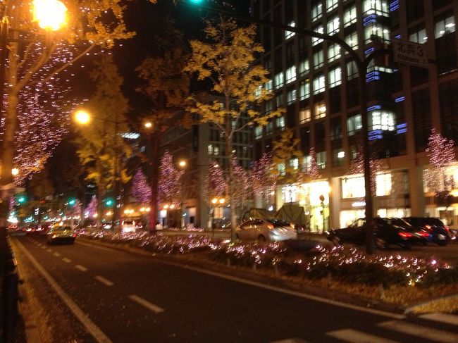 銀杏並木と分離帯の草むらに<br />ピンクの電飾がいっぱい…