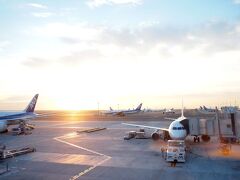 空港で迎える日の出。幸せ。