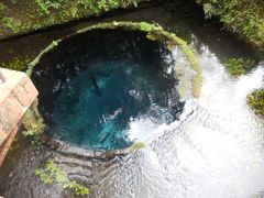 この、丸いところから　こんこんと清水が湧き出ています。