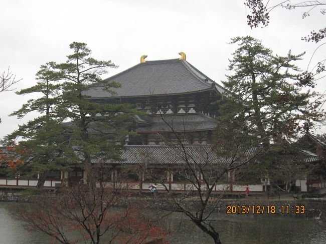 遠めに見ても、近くで見ても、やっぱり巨大な木造建築物です。