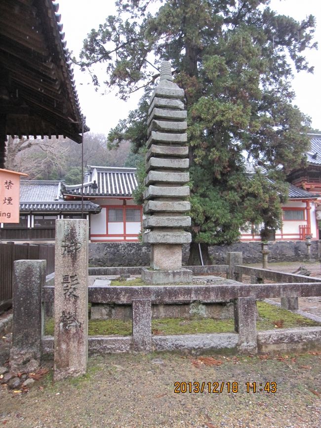 なんと言っても世界遺産の東大寺ですから、国宝も重要文化財もいっぱいです。案内板、説明板が無くても、調べてみたらいろいろと面白いものがありました。