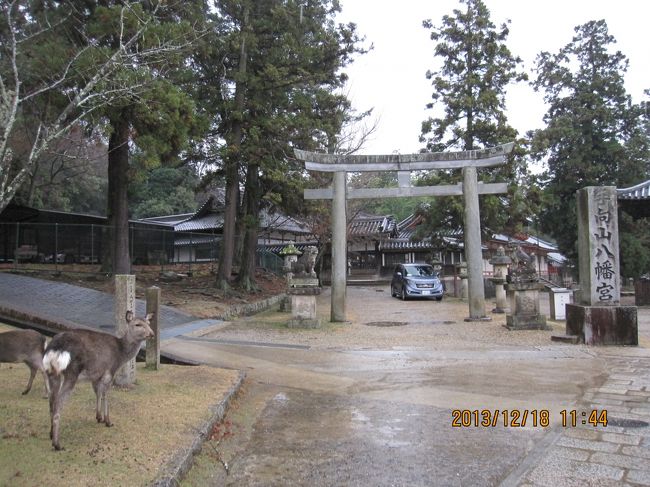 手向山八幡宮の鳥居の横の道を上がっていくと、不動堂があります。なんとなく心惹かれるものがあり、坂を登って不動堂に向かいました。